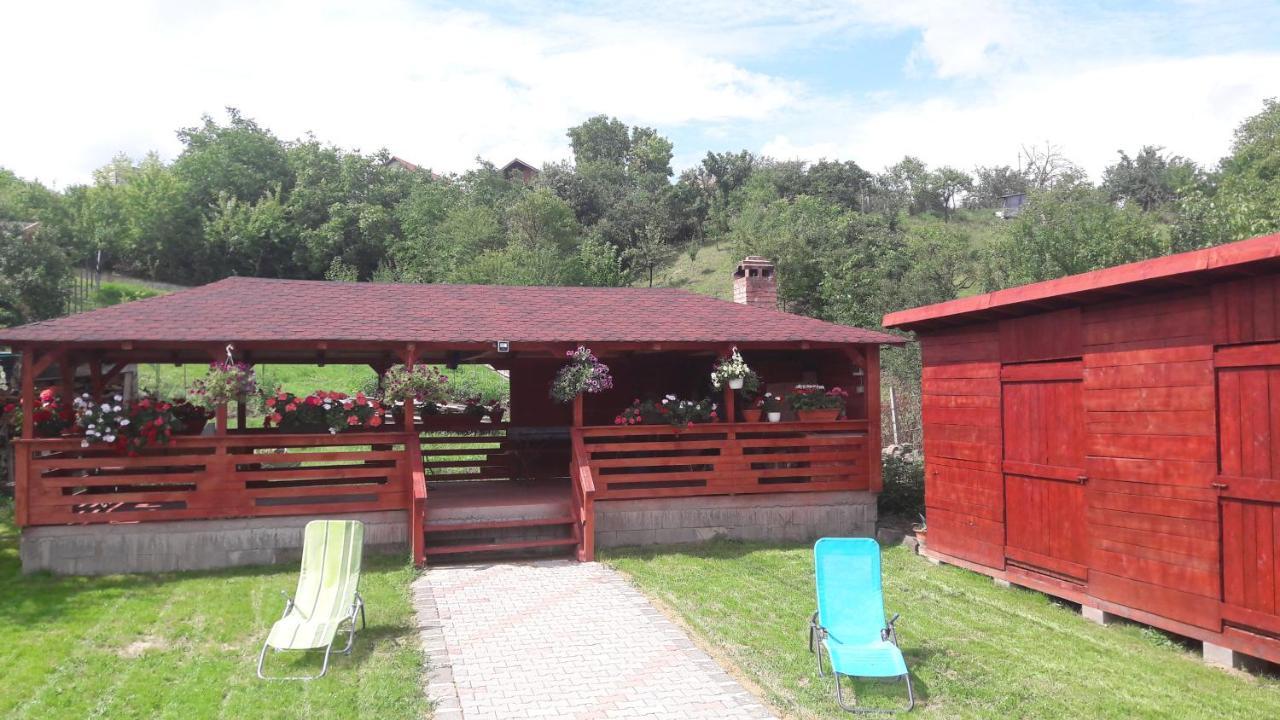 Casa Anamaria Vila Turda Exterior foto
