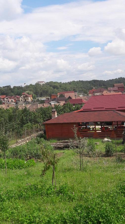 Casa Anamaria Vila Turda Exterior foto